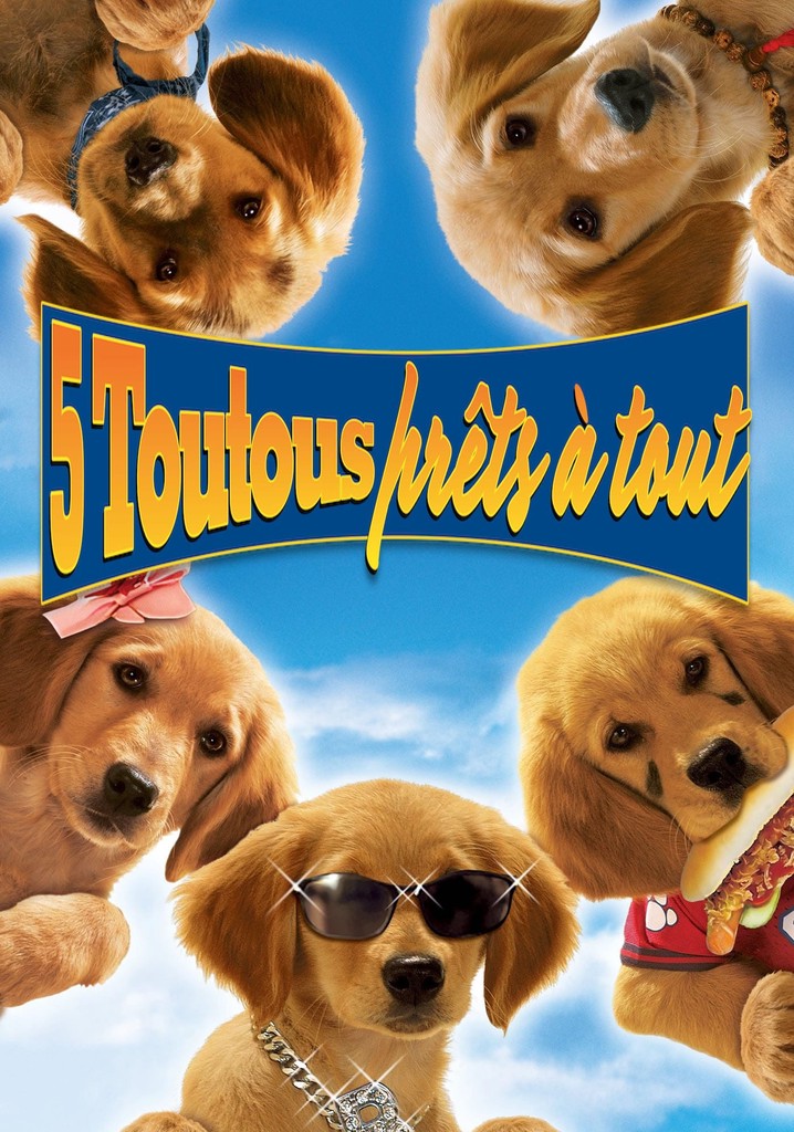 Regarder 5 toutous prêts à tout en streaming complet